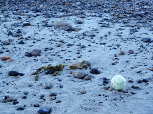 Tennis Ball Left Behind at the Beach, by Teresa Helm, 01-20-13