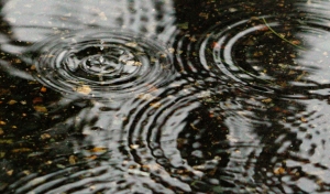 Rain drop in puddle, by Teresa Helm, 01-25-13