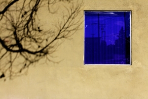 Blue window and shadow of tree on wall, by Bill Helm, 02-12-13